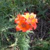 2004 malosco (101)